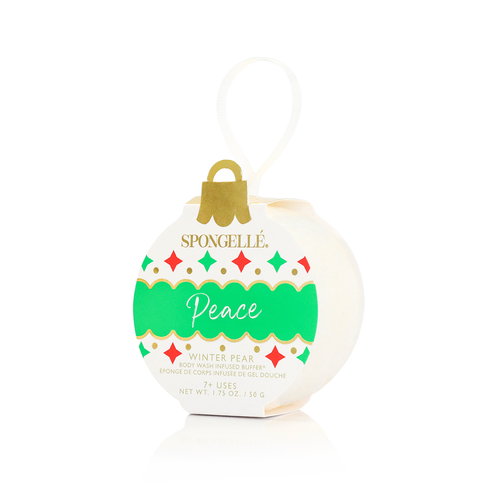 Celebrate the Season Holiday Ornament Gift Set Christmas