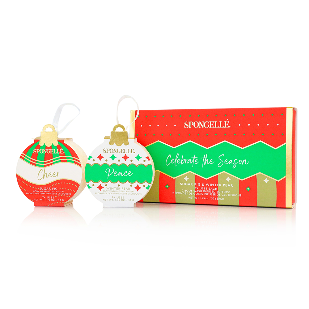 Celebrate the Season Holiday Ornament Gift Set Christmas