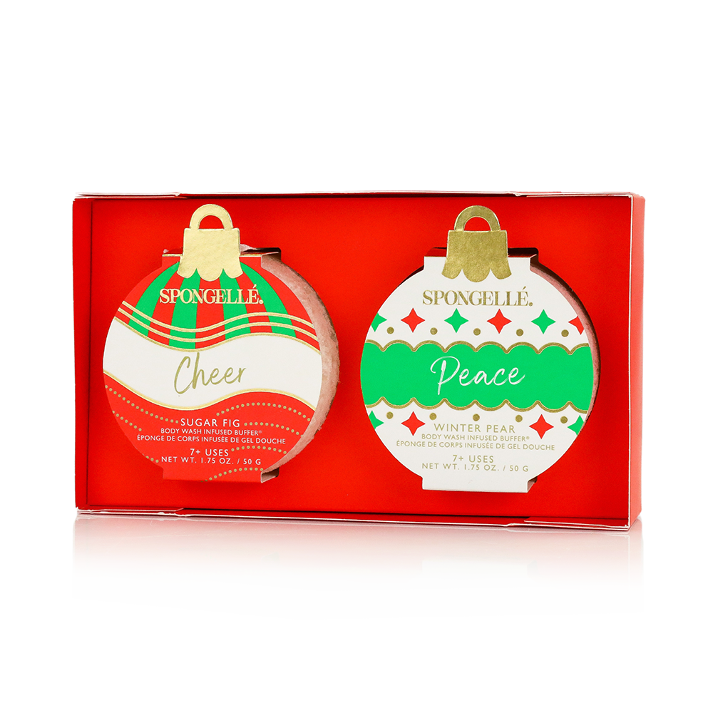Celebrate the Season Holiday Ornament Gift Set Christmas