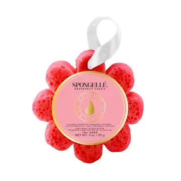 Spongelle Daisy Grapefruit Cassis