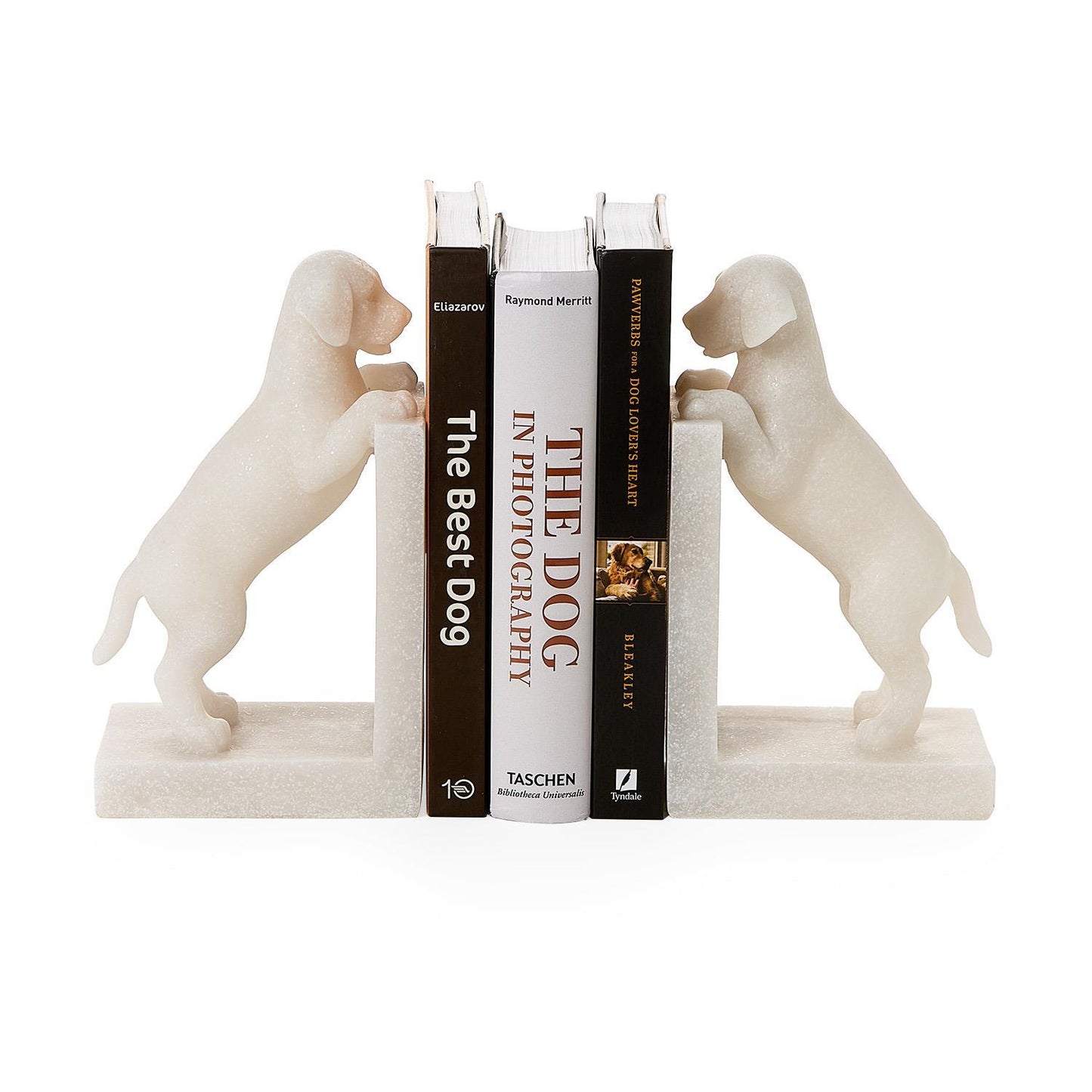 Dog Book Ends s/2