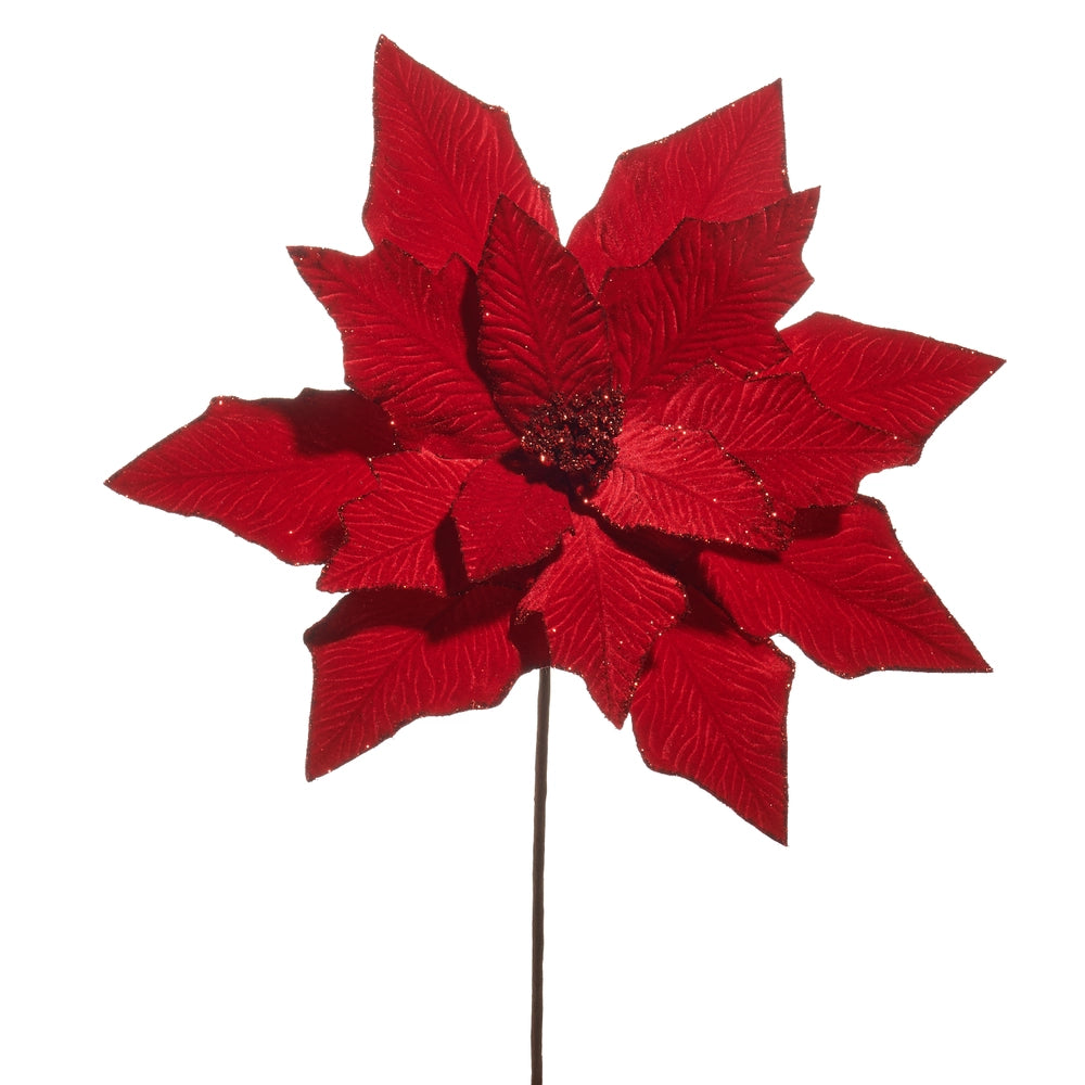 Red Poinsettia Stem
