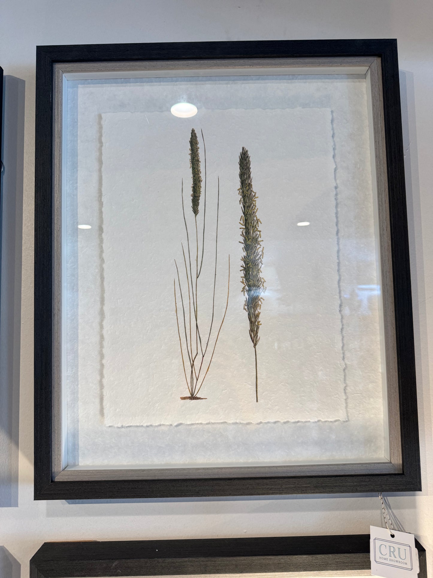 Forest Finds 3