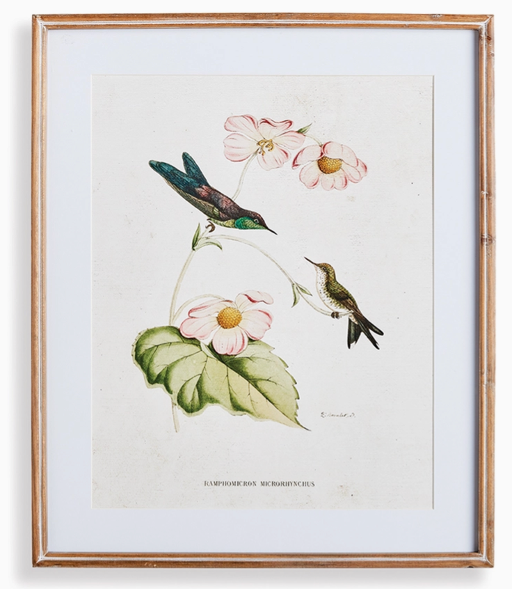Hummingbirds With Blush Blooms I