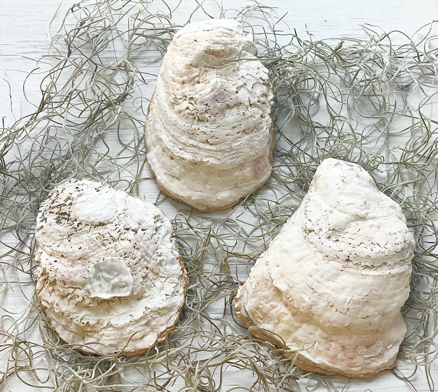 Pagoda Oyster Dish - Green