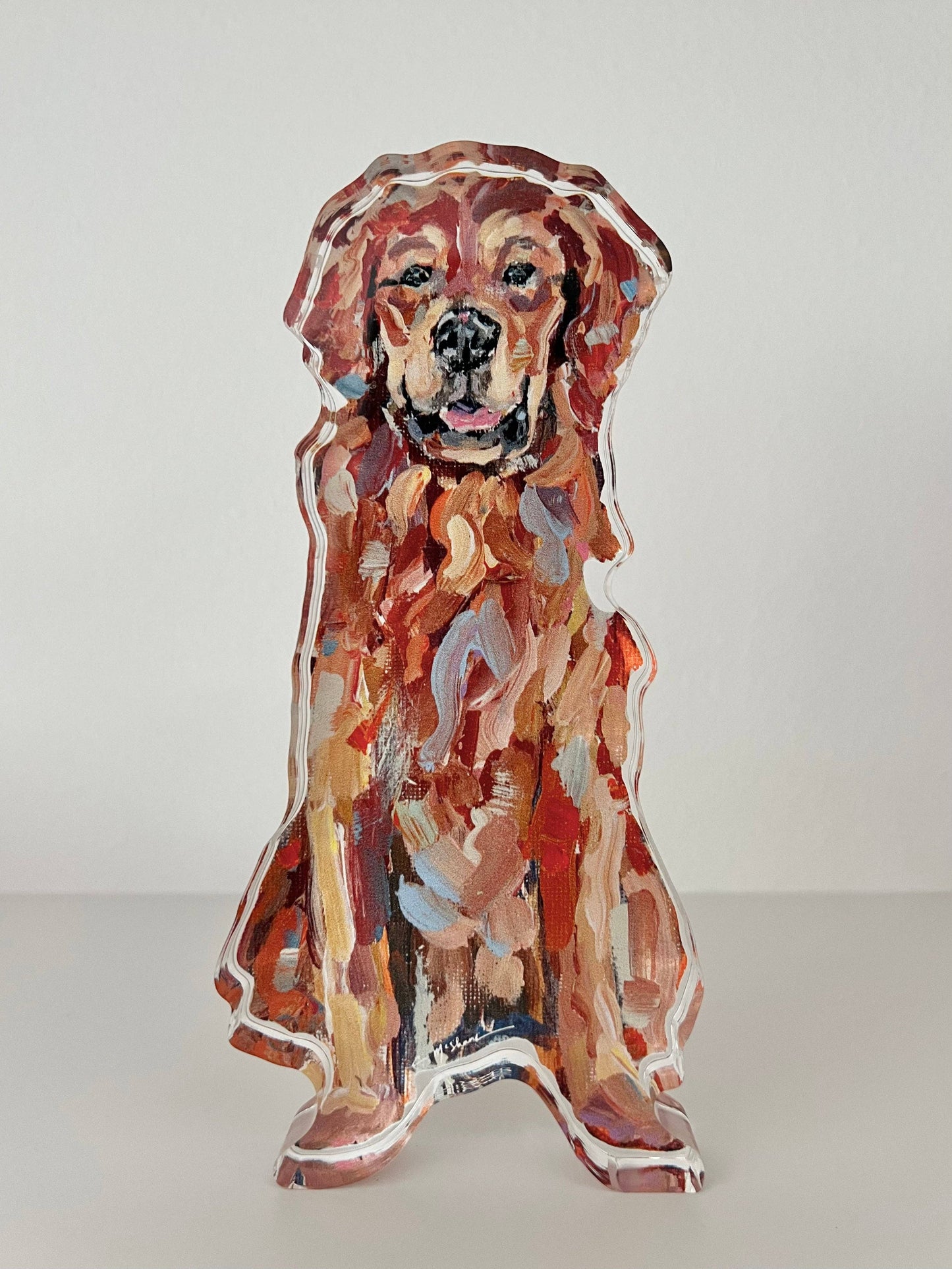 Golden Retriever - Large