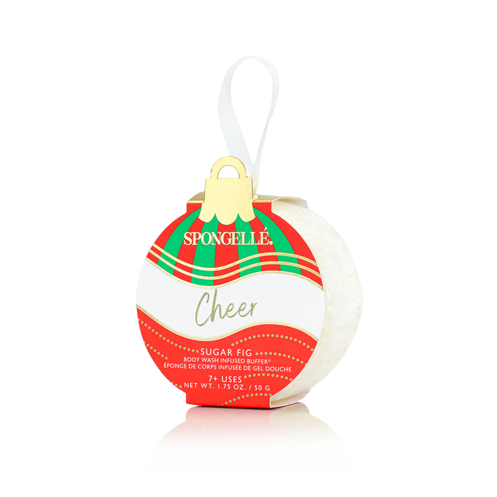 Celebrate the Season Holiday Ornament Gift Set Christmas