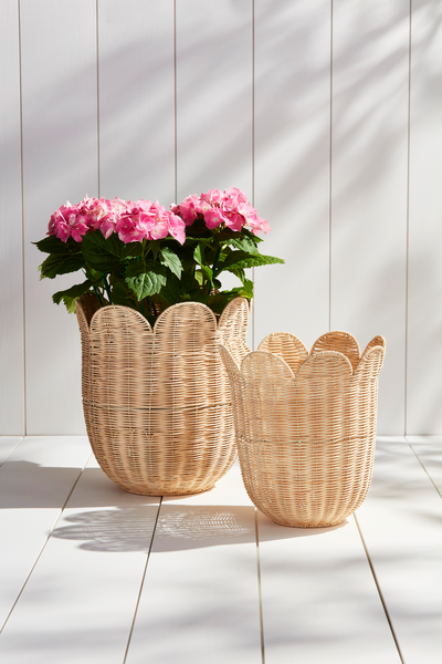 Scalloped Wicker Basket - Small