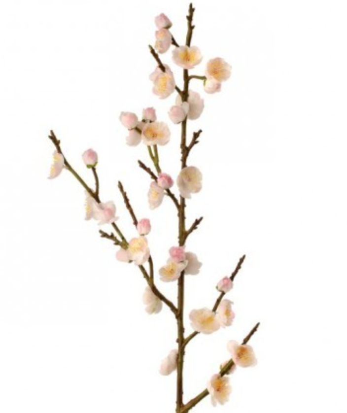 Plum Blossom Spray