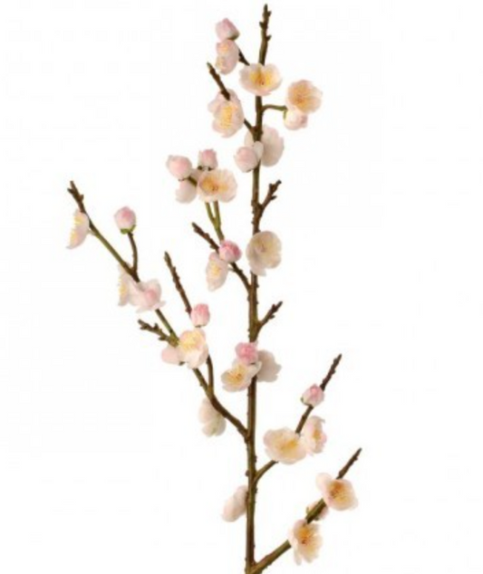 Plum Blossom Spray