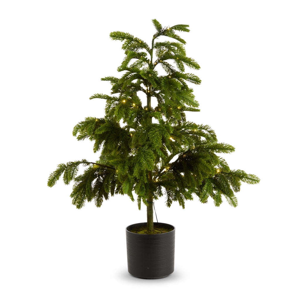 Lighted Green Tree