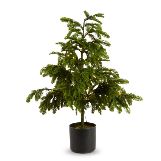 Lighted Green Tree