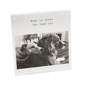 Acrylic Dog Bone Frame 4x6