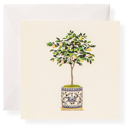 Lemon Tree Individual Gift Tag