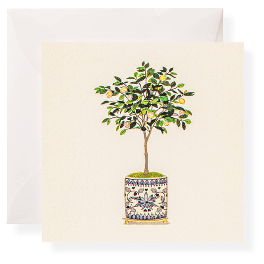 Lemon Tree Individual Gift Tag