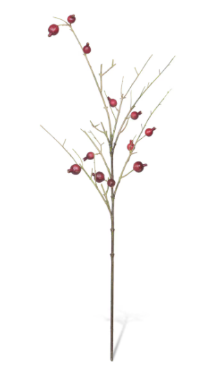 Pomegranate Branch 48"