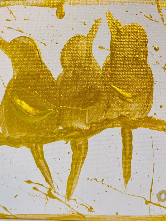 Worry's For The Birds