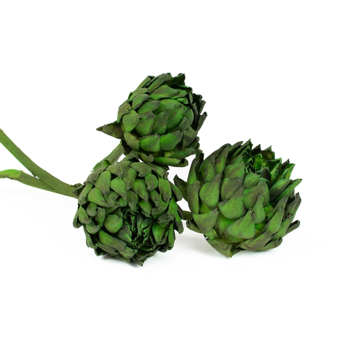 Artichokes - Dried