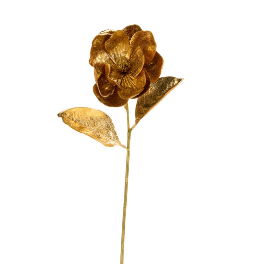 Gold Magnolia Stem