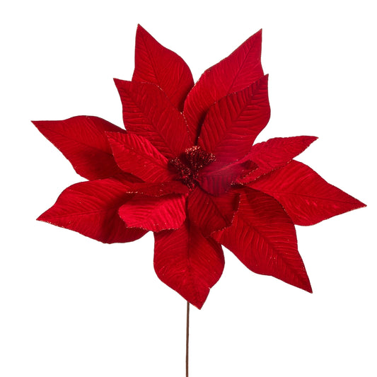 Red Velvet Poinsettia