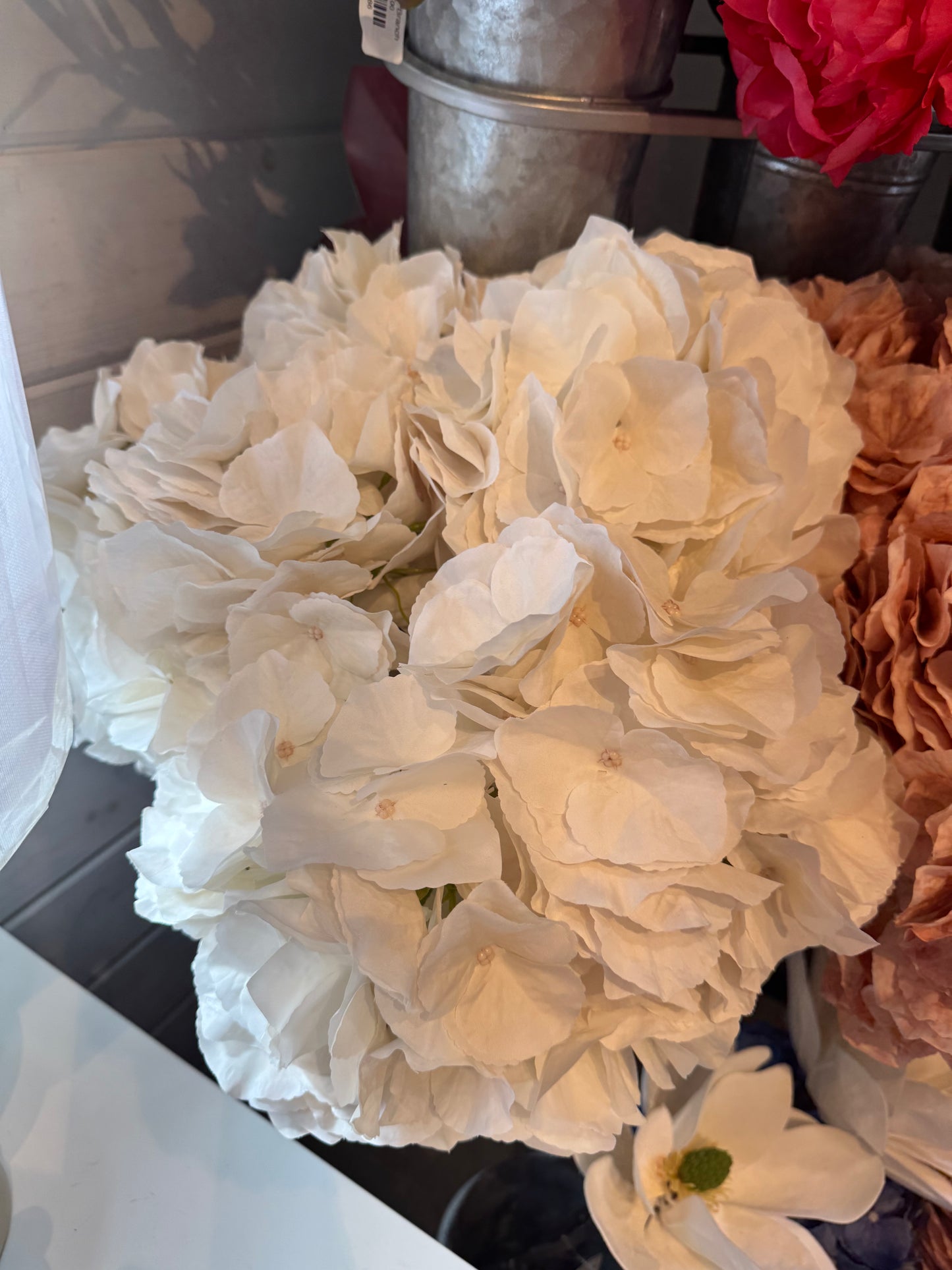 Cream White  Hydrangea