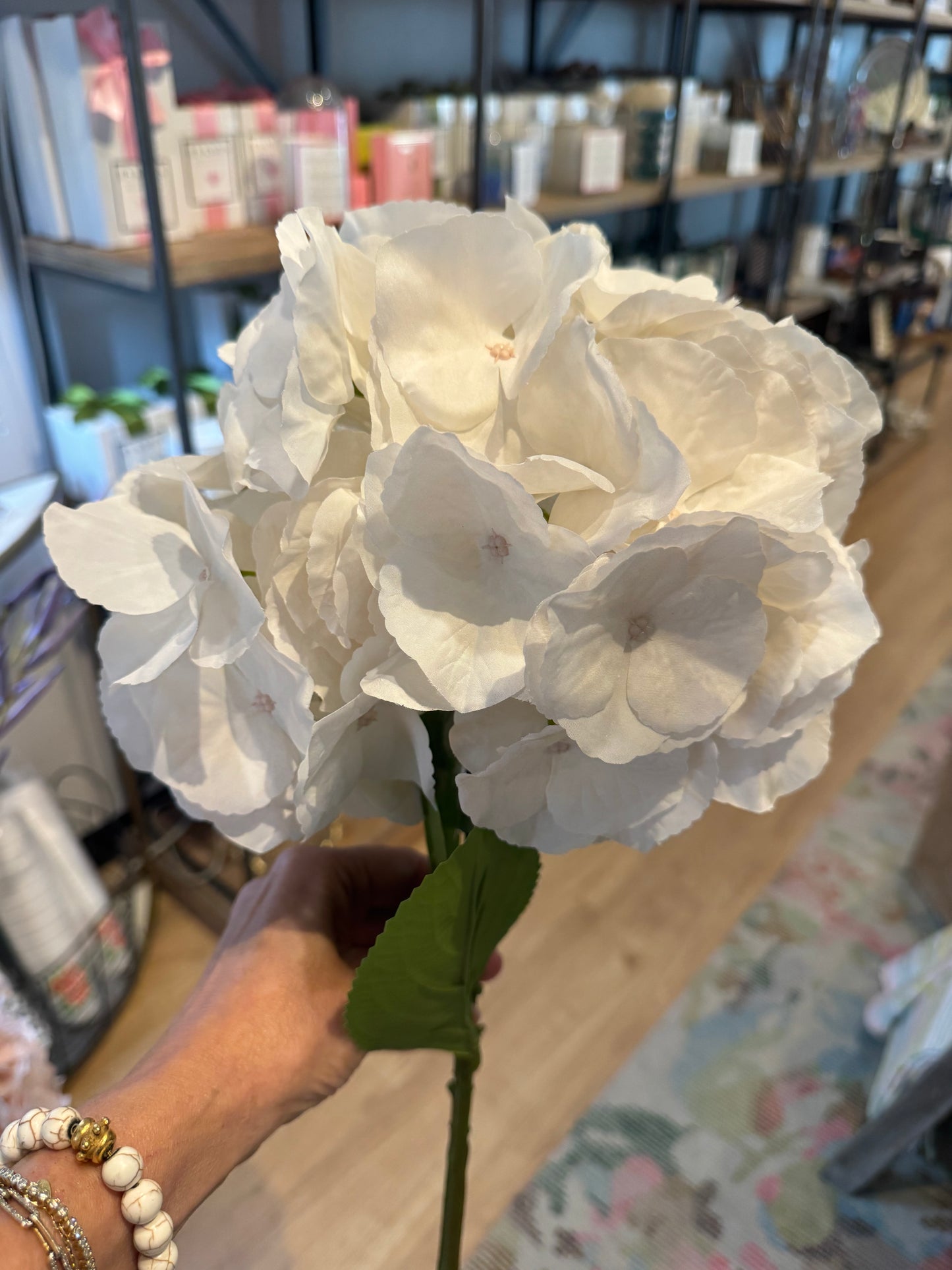 Cream White  Hydrangea