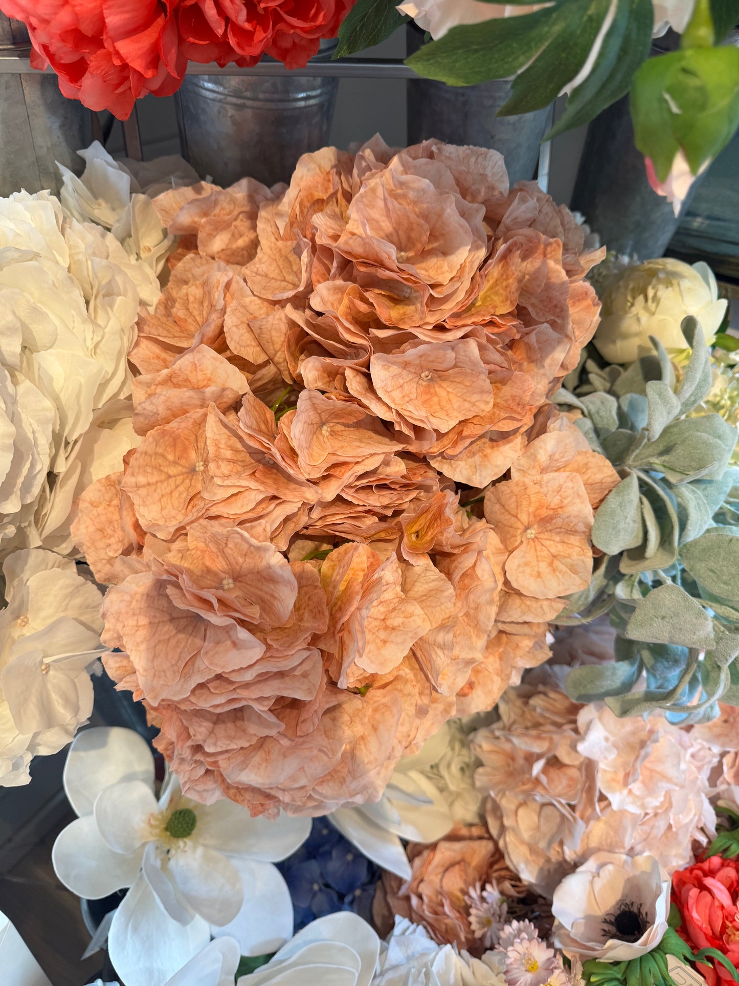 Nude Hydrangea