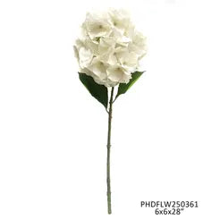 Cream White  Hydrangea