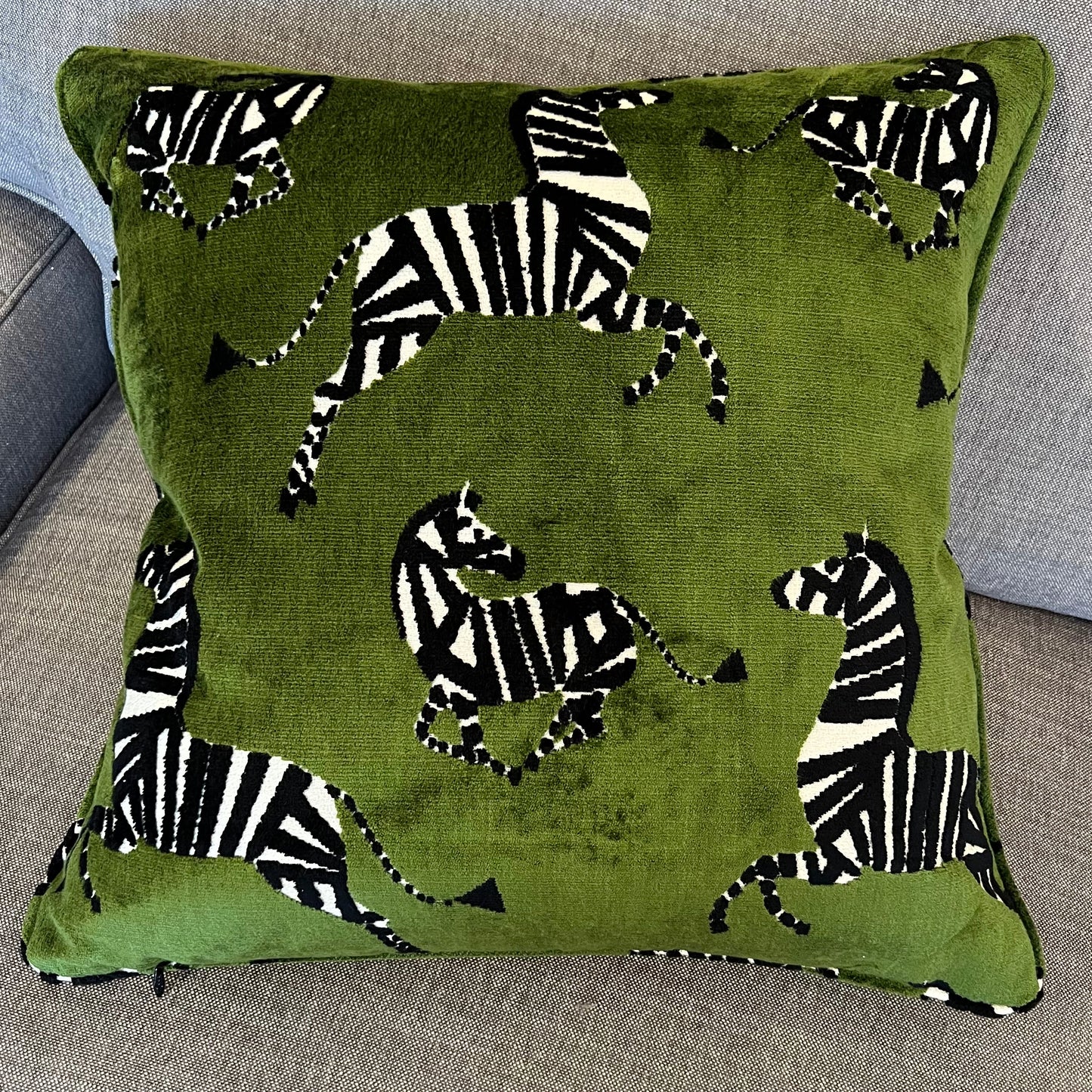 Jasper Fern Zebra Pillow