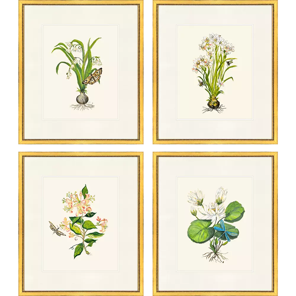 Delicate Greenery No.1