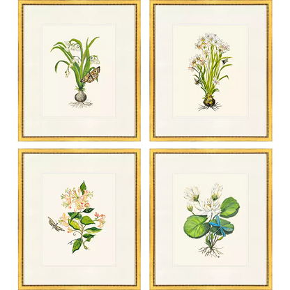 Delicate Greenery No.1